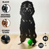 Labradoodle Cockapoo Statue Garden Ornament Dog Lover Owner Christmas Gift